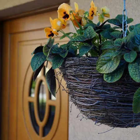 Krystyna Lesniewska Krystyna Homestay szállás *