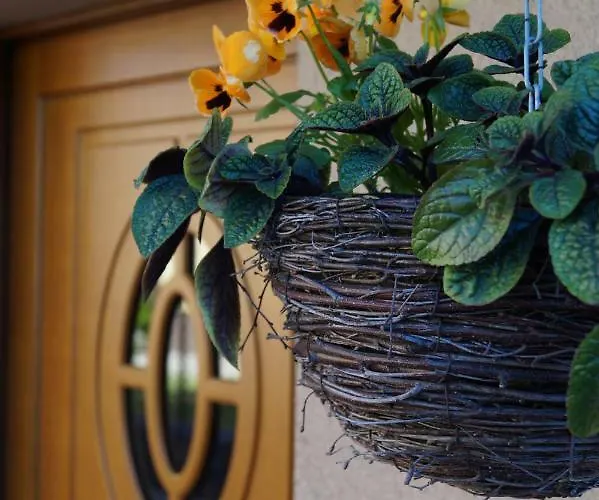 Krystyna Lesniewska Krystyna Homestay szállás *